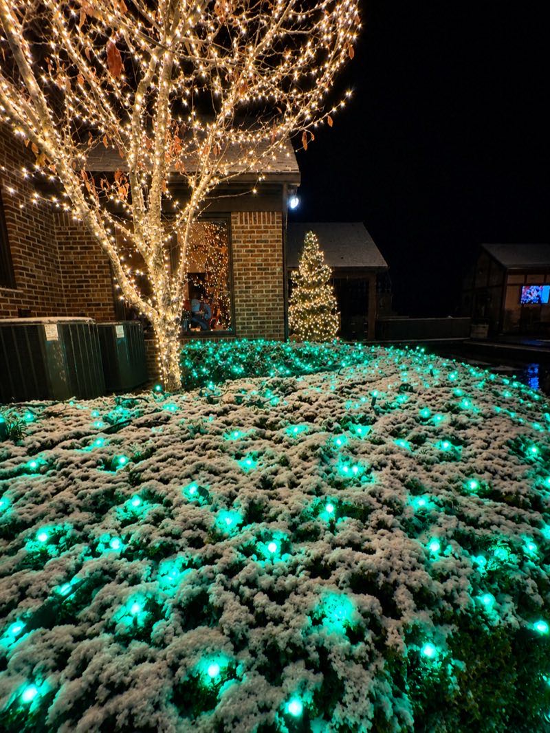 Warm white tree wrapping with green bush lights in snow — Louisville KY