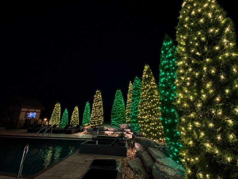 Green and warm white lit trees along poolside — holiday lighting Kentuckiana